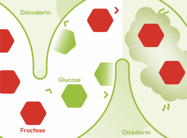 Schaubild zur Erklärung: Was ist eine Fructose-Malabsorption?