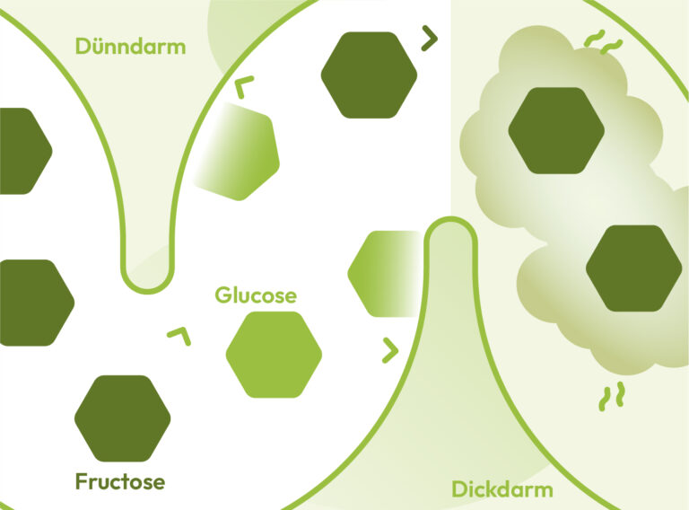 Schaubild zur Erklärung: Was ist eine Fructose-Malabsorption?